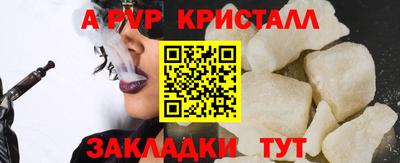 шишки Кандалакша