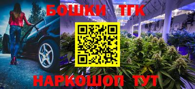шишки Кандалакша