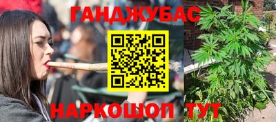 шишки Кандалакша