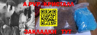 шишки Кандалакша