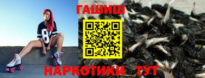 шишки Кандалакша