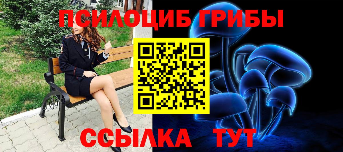 Псилоцибиновые грибы GOLDEN TEACHER Клинцы