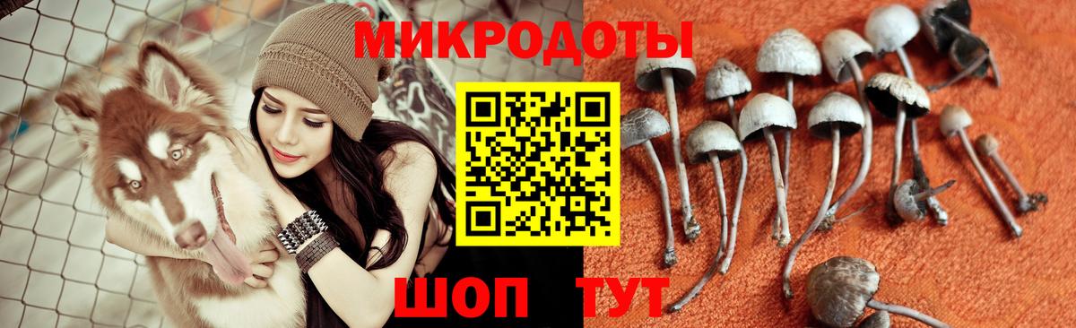 Клинцы  Псилоцибиновые грибы мицелий  Псилоцибиновые грибы мухоморы  Вход с VPN 